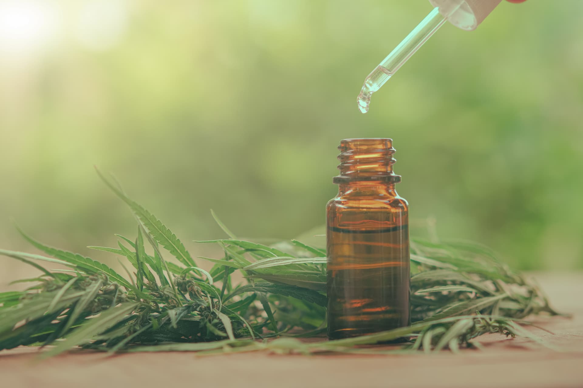 THC Cannabis Oil for Sale in Europe – High-THC Formulas