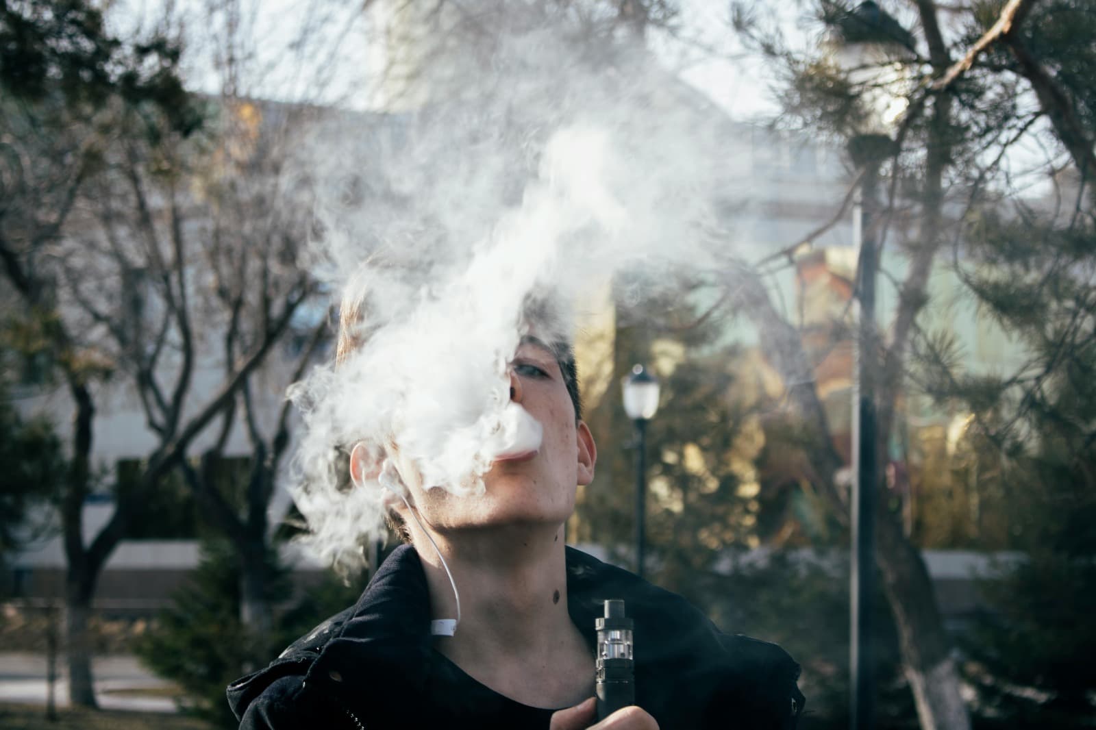 Fryd Carts – Elevating Your Disposable Vaping Experience