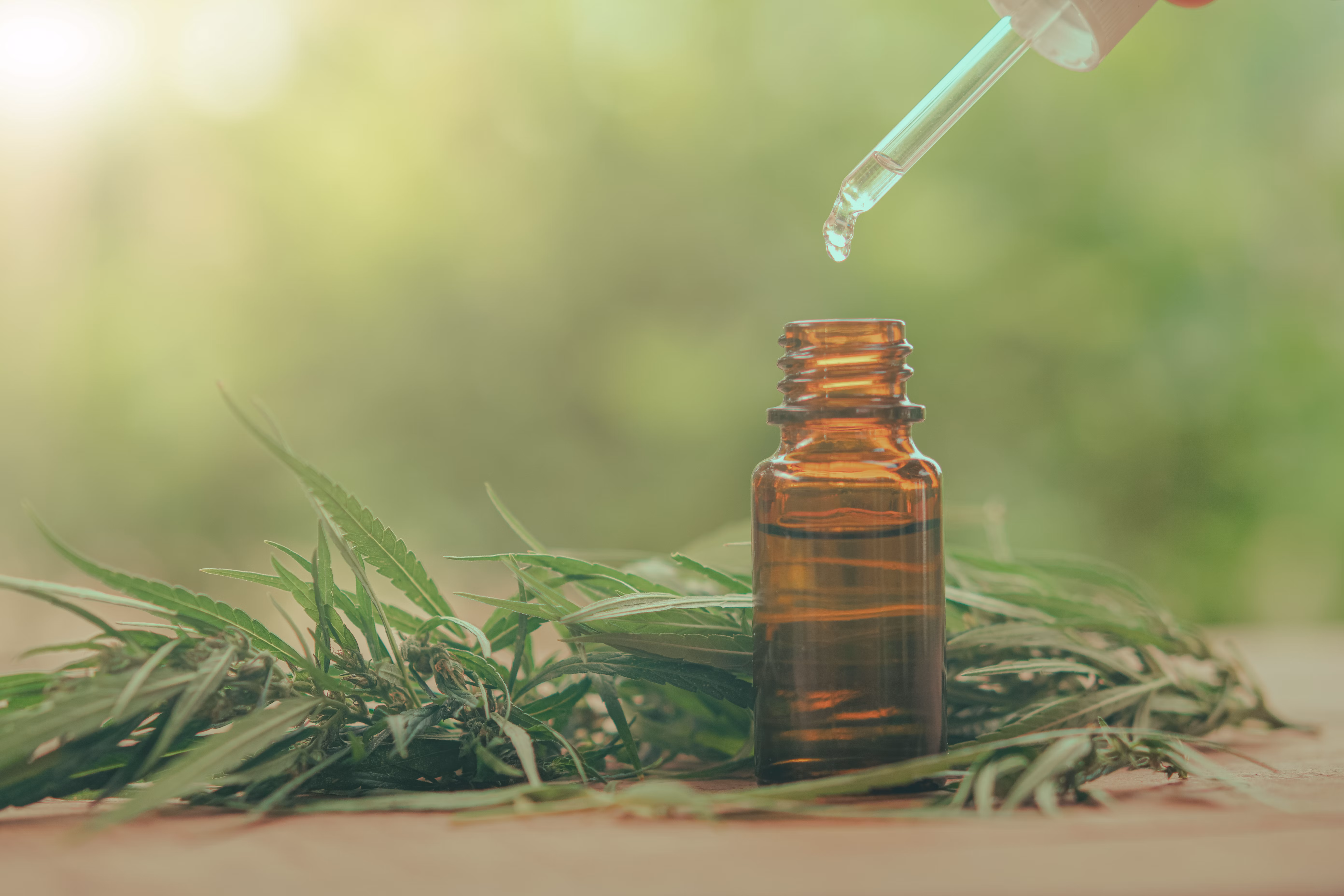 THC Cannabis Oil for Sale in Europe – High-THC Formulas